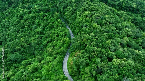 Aerial forest road with car creating abstract background for electric vehicle, ESG, sustainability and green investment business concepts.