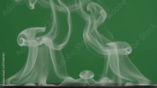 Soft white smoke plumes rising gracefully, green screen video 4K. steam vapor fog mist grey steam vapor