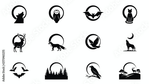 Nocturnal animals silhouetted inside moon themed circular frames