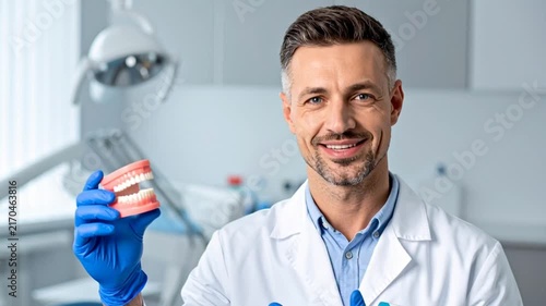 Smiling Male Dentist Holding Jaw Model and Explaining Dental Care in a Modern Clinic