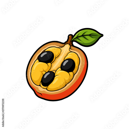 half ackee fruit vector