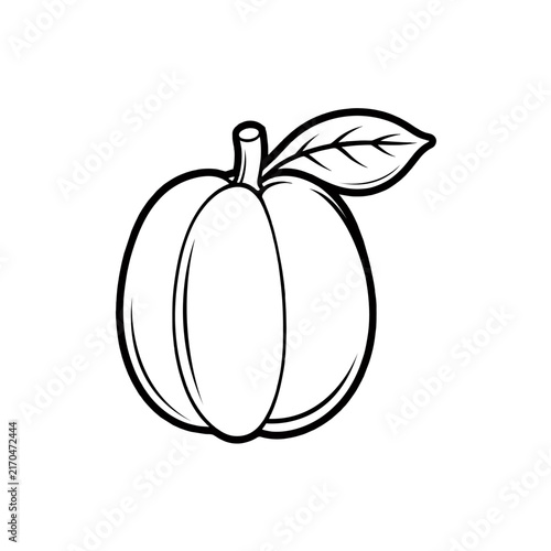 ackee fruit line art vector