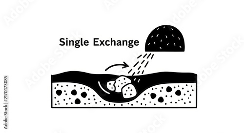 Single Exchange Process Diagram.