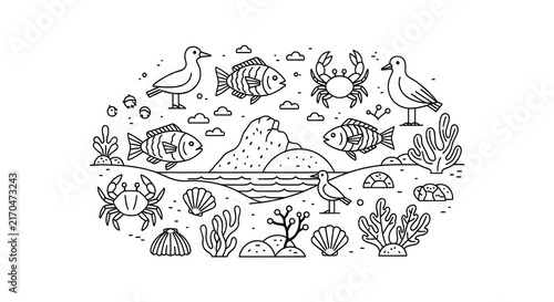 Underwater ocean marine life illustration.