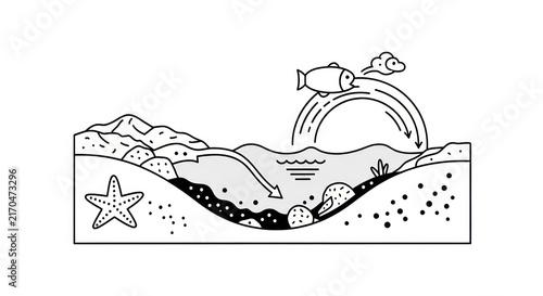 Underwater scene with fish and starfish.