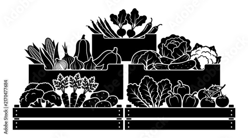 Fresh vegetable harvest in wooden crates.