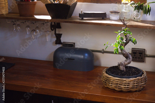 Bonsai tree sitting in woven basket on wooden countertop, bread box and hanging stemware glowing