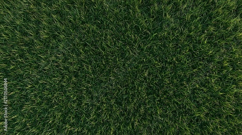Lush green grass texture from a birds eye view providing a natural outdoor background for design