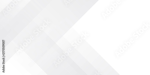 White abstract background. Silver effect texture. Light gray colour textur. Grey platinum pattern. Modern backdrop. Gradient delicate surface print. Design bg for business prints. Vector illustration