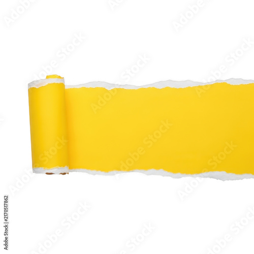 Bright yellow paper sheet with a torn edge showing a rolled scroll design isolated on transparent background