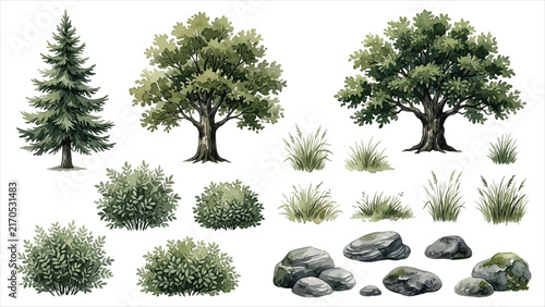 Realistic watercolor tree elements collection for architectural landscape visualization plan vector