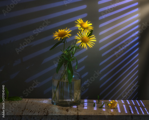Still life with a small bouquet of yellow meadow flowers. Minimalism.