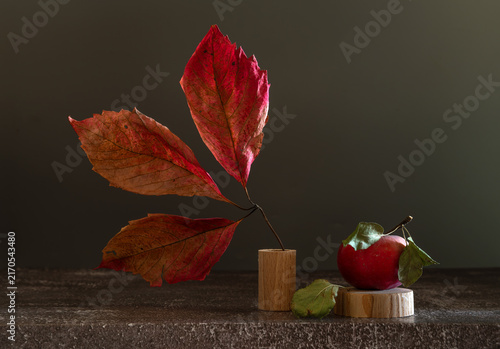 Still life with a ripe red apple and autumn leaves of wild grapes.