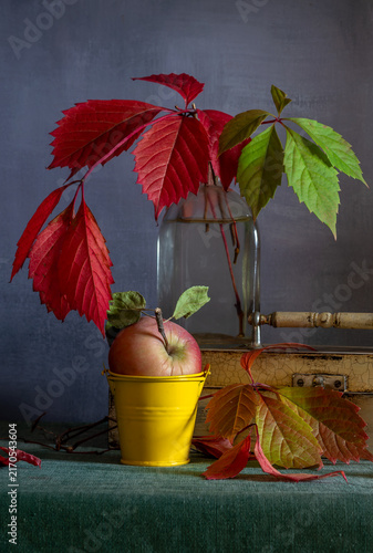Still life with a ripe red apple and autumn leaves of wild grapes.