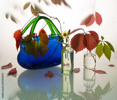 Still life with wild grape branches with beautiful autumn leaves on a light background with reflection.