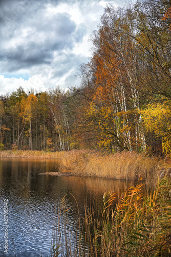 See im Herbst