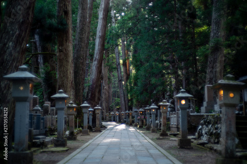 奥の院の参道