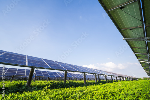 Photovoltaic solar panels are installed in an agricultural field with lush green crops under a clear blue sky, showcasing renewable energy integration with farming.