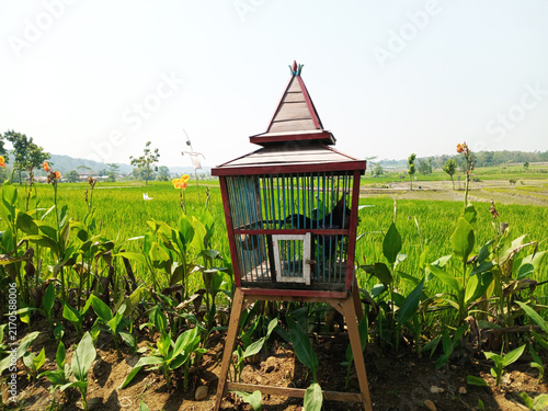 Traditional birdcage standing in green rice field with plants and hills on bright sunny day