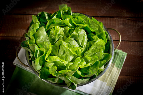 Colander with butterhead lettuce