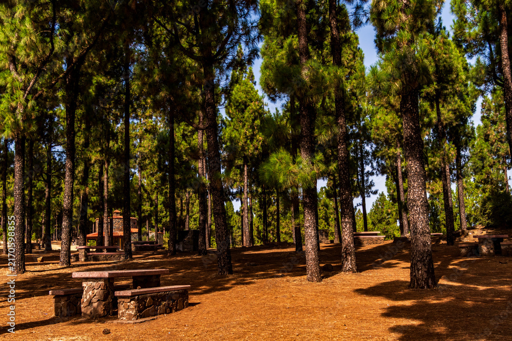 Obraz premium Paisaje en un área recreativa de Gran Canaria.