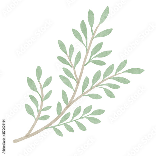 Hand Painted Green Leaf Branch Botanical Illustration
