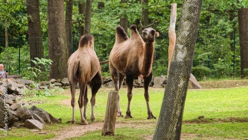 Tiere im Tierpark Chemnitz - Animals at Zoo Chemnitz