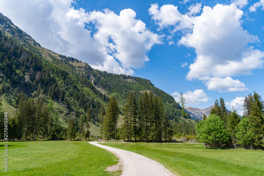 Fototapeta premium Mountain landscape trail. Road in mountainous landscape with cloudy sky. Scenic green hill mountain. Highland trail. Breathtaking summer day in wild mountain with coniferous forest trail