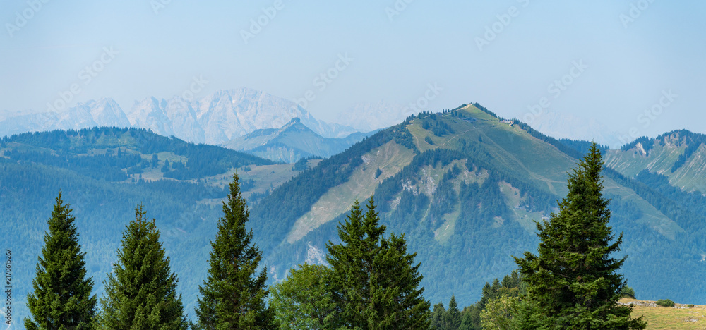 Fototapeta premium Amazing landscape of mountain. Scenery coniferous forest. Pine tree and mountain landscape with forest. Mountain landscape. Forest nature with mount. Nature in mountain countryside