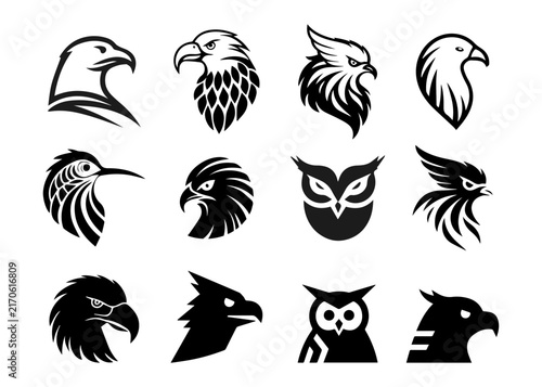 Bird Logo Set with Eagle, Hawk, Owl and Falcon Symbols