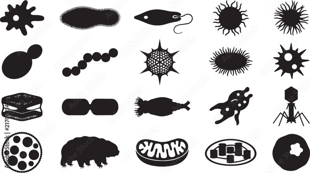 Obraz premium Set of black silhouettes of microorganisms bacteria and cells