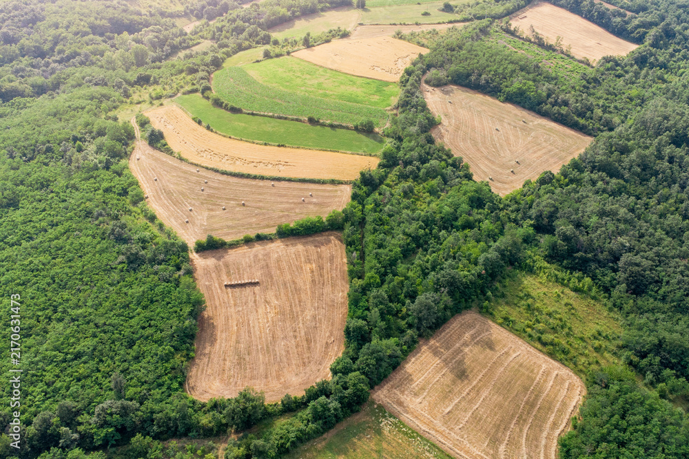 Naklejka premium Aerial drone view of harvested fields with hay bales scattered across a rolling summer landscape.