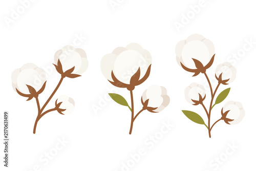 Soft Organic Cotton Flower Branch Clipart Set, Natural Botanical Vector Collection