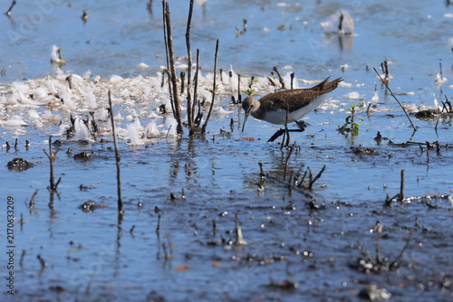 Photography wader