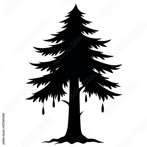 A pine tree with heavily drooping branches 