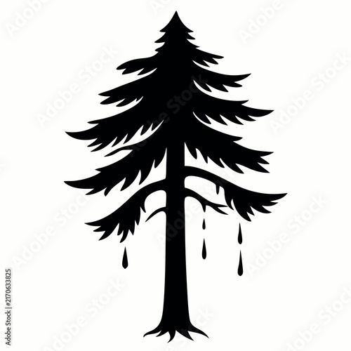 A pine tree with heavily drooping branches 