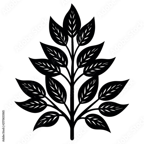 A plant  