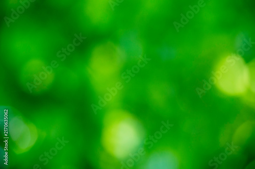 Green bokeh background from nature forest out of focus
