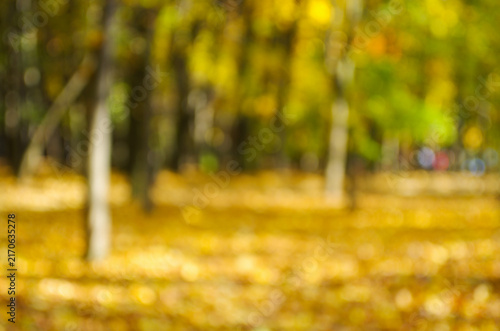 Autumn golden forest, blured background.