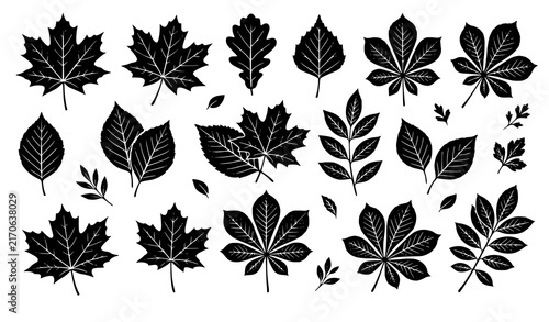 Autumn Leaves Botanical Black White Vector Collection for Pattern and Border Design