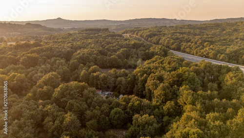 Highway winding through green forest at sunset in Allariz