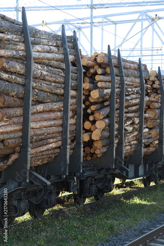 A freight train flatcar heavily loaded with cut timber logs resting on railway tracks under overhead power lines.