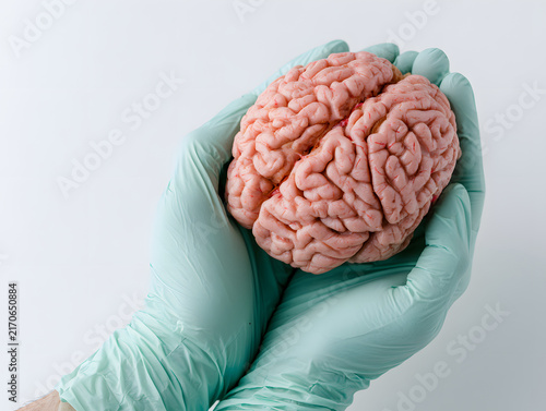 Human brain model held by gloved hands, medical professional, healthcare concept, alzheimer's disease, stroke, mental health, psychology, neuroscience, brain care, World Mental Health Day.