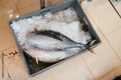 Fresh tuna fish on crushed ice in crate
