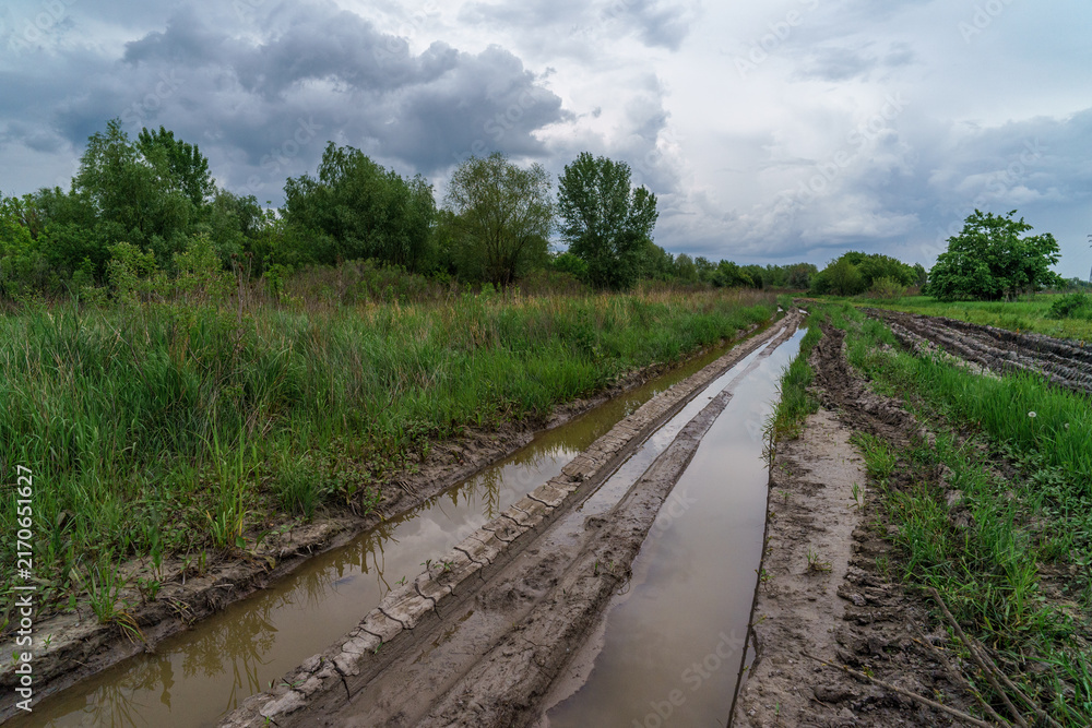 Obraz premium A dirt road surrounded by meadows and trees, strewn with puddles and potholes after the rain.