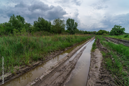 фотографія A dirt road surrounded by meadows and trees, strewn with puddles and potholes after the rain