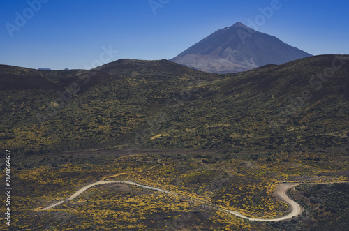 фотографія Aerial view of a winding dirt road through volcanic highlands covered in golden scrubland vegetation, Mount Teide rising under a clear blue sky, Teide National Park, Tenerife, Canary Islands, Spain