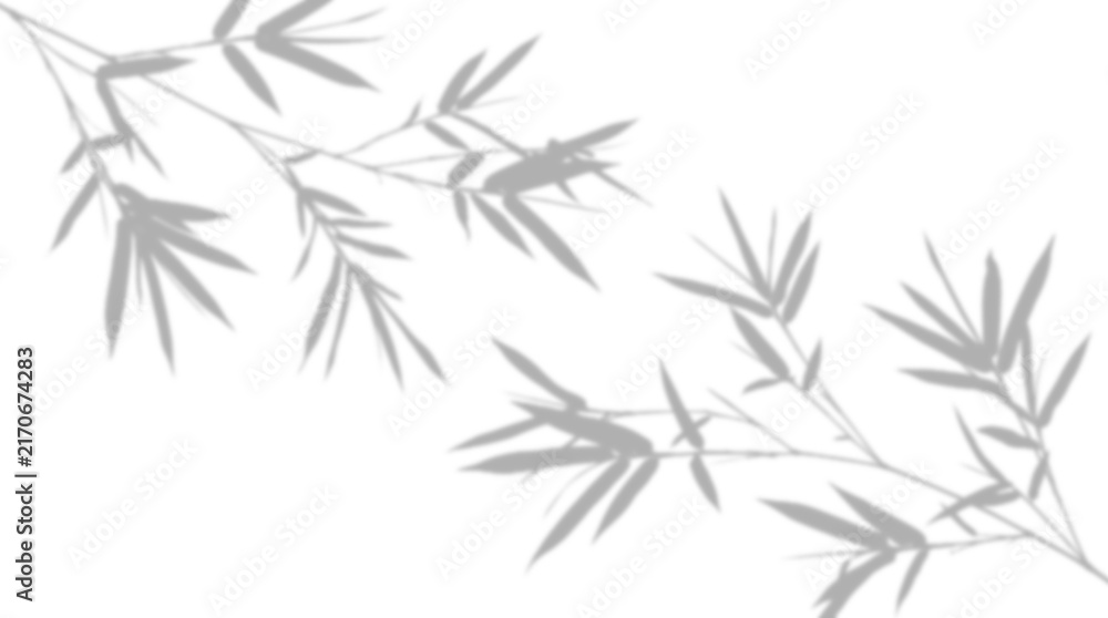 Fototapeta premium Natural leaf shadows isolated on transparent background