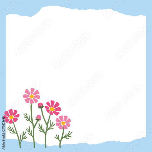 코스모스 배경