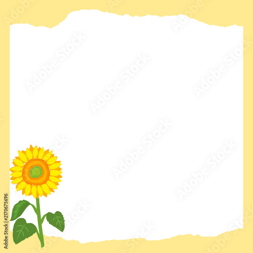 해바라기 배경